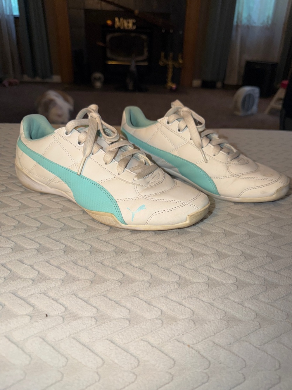 Puma Women’s White Sneakers with Teal Accent Stripe